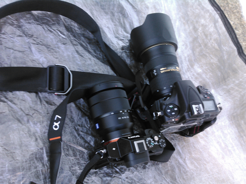 Illustration for article titled Nikon D810 Review: The Ultimate Adventure Camera?